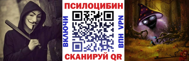 Галлюциногенные грибы GOLDEN TEACHER  цены наркотик  Белово 